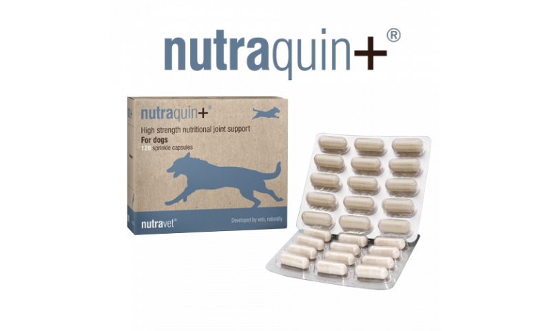 Nutraquin+ for dogs 120 capsules